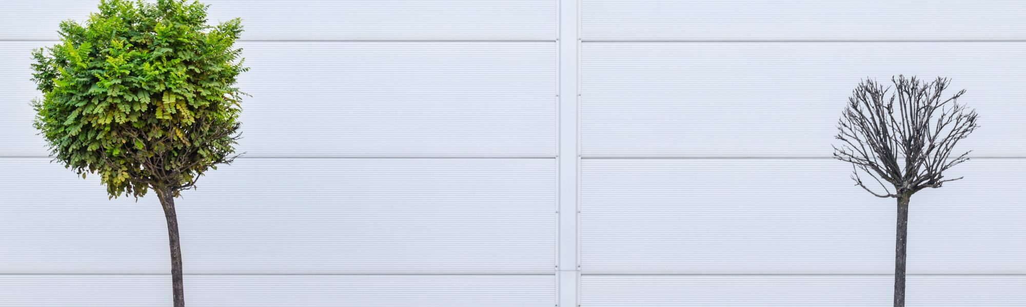 pawel-czerwinski-789323-unsplash